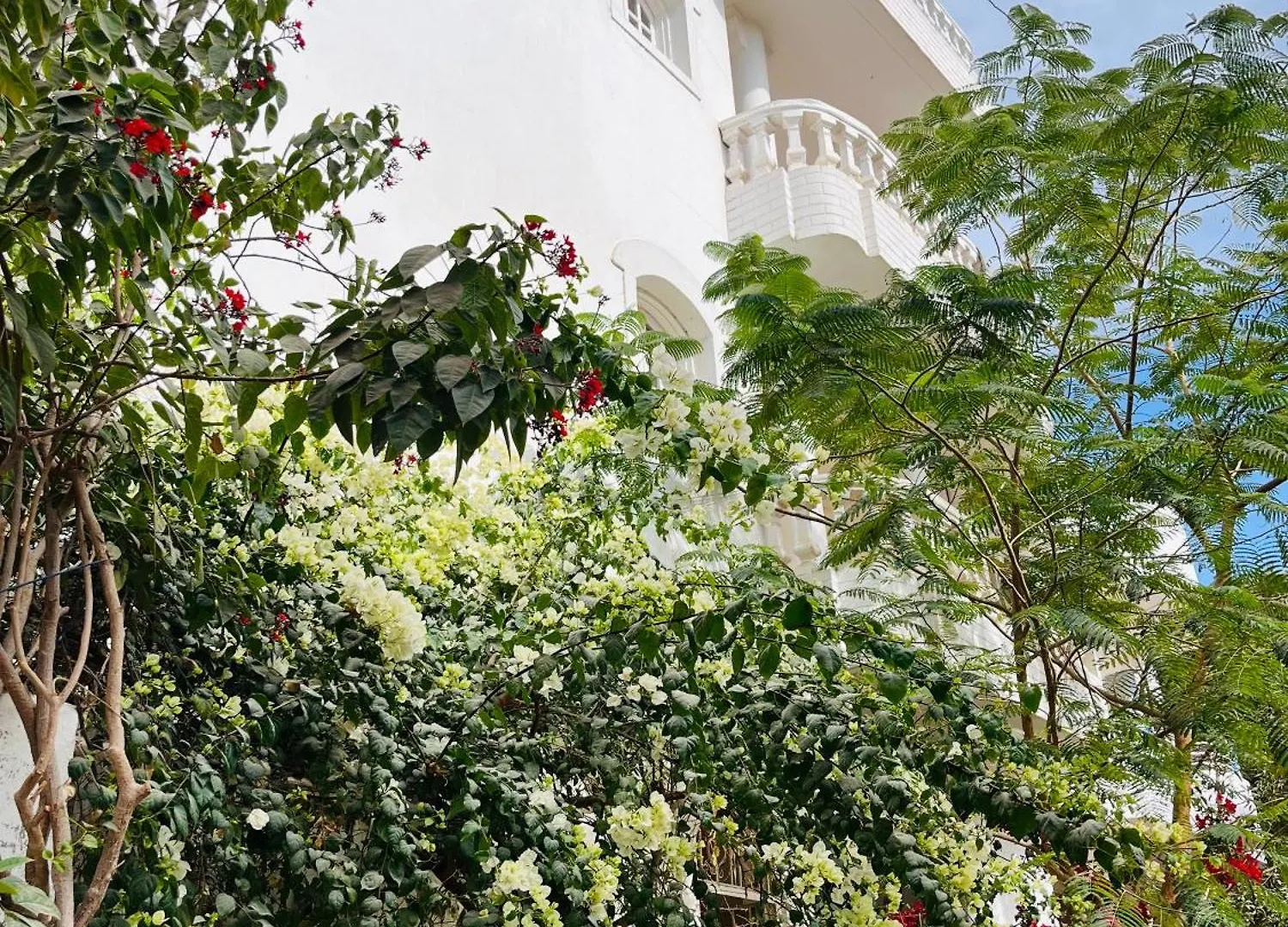 Apartment Roses House Ladies Only Luxor